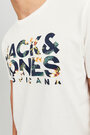 Jjbecs shape tee ss crew neck Jack and Jones(3 colours)