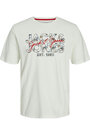 Jack & Jones t-shirt mod.jjchill shape tee(3 colours)